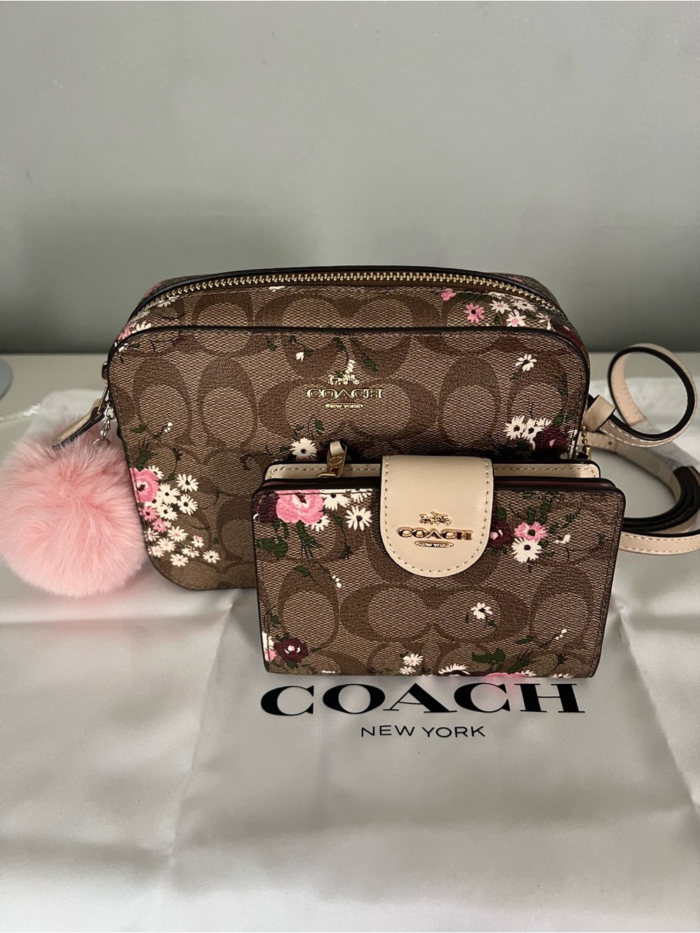 Coach Mini Camera Bag
In Signature Canvas With Evergreen Floral Print Set